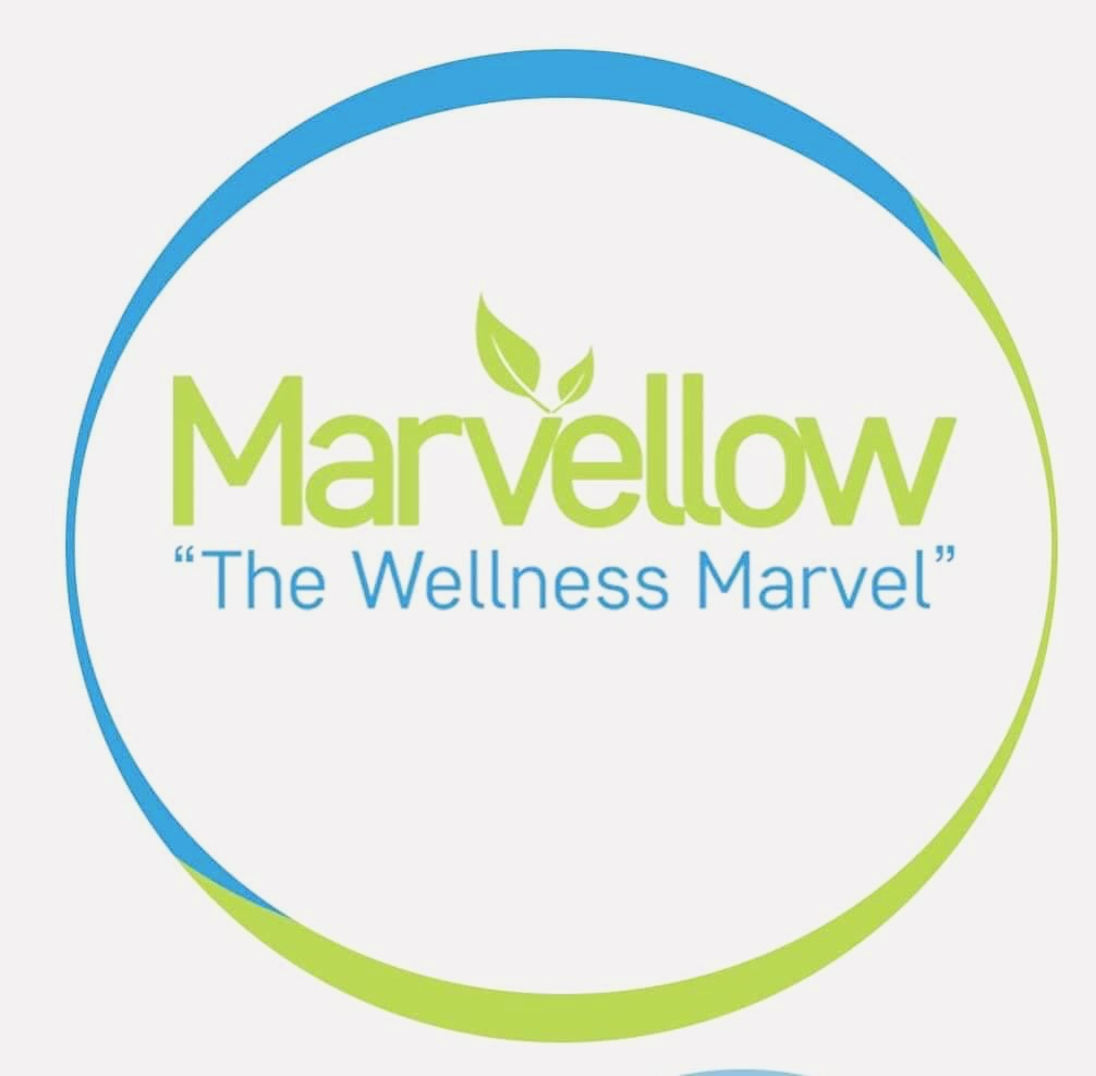 Herbogenix Business Plan | New Direct Selling Company 2020