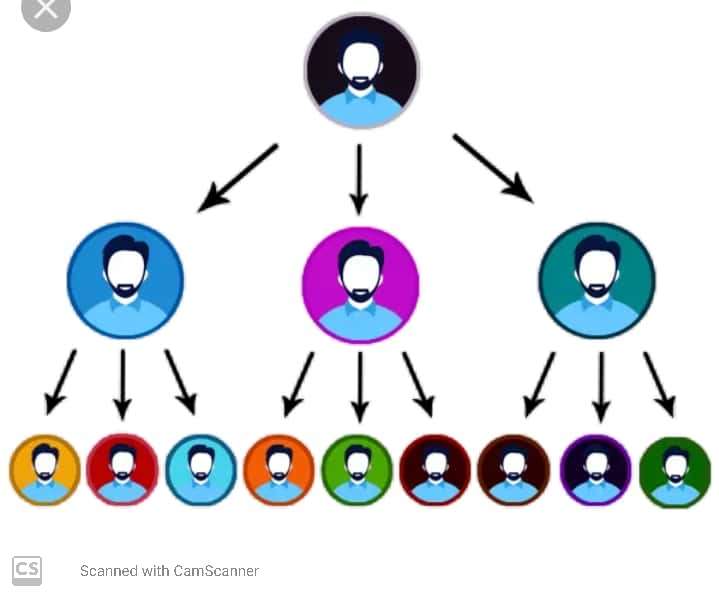 MLM live stmart network